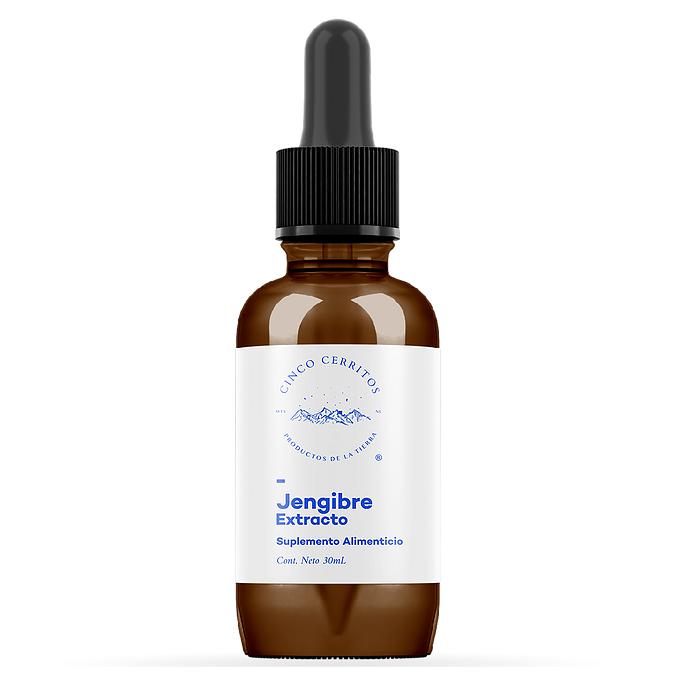 Extracto de Jengibre 30 ml - Image 2