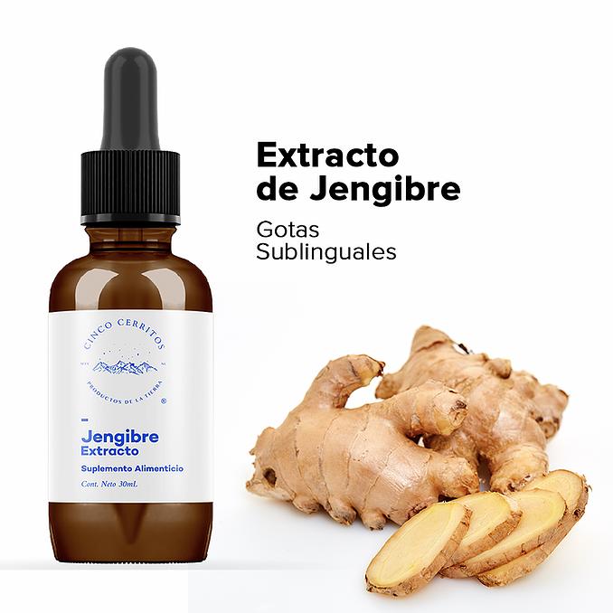 Extracto de Jengibre 30 ml